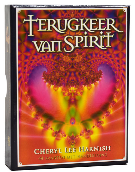 Terugkeer van Spirit image 0