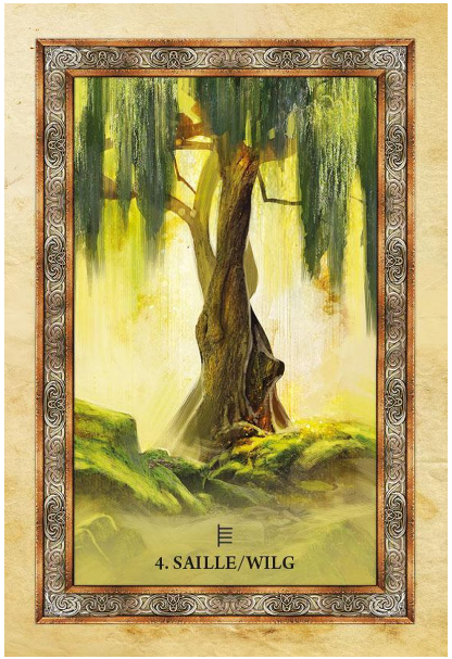 Het orakel van de Keltische bomen image 1