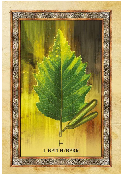 Het orakel van de Keltische bomen image 3