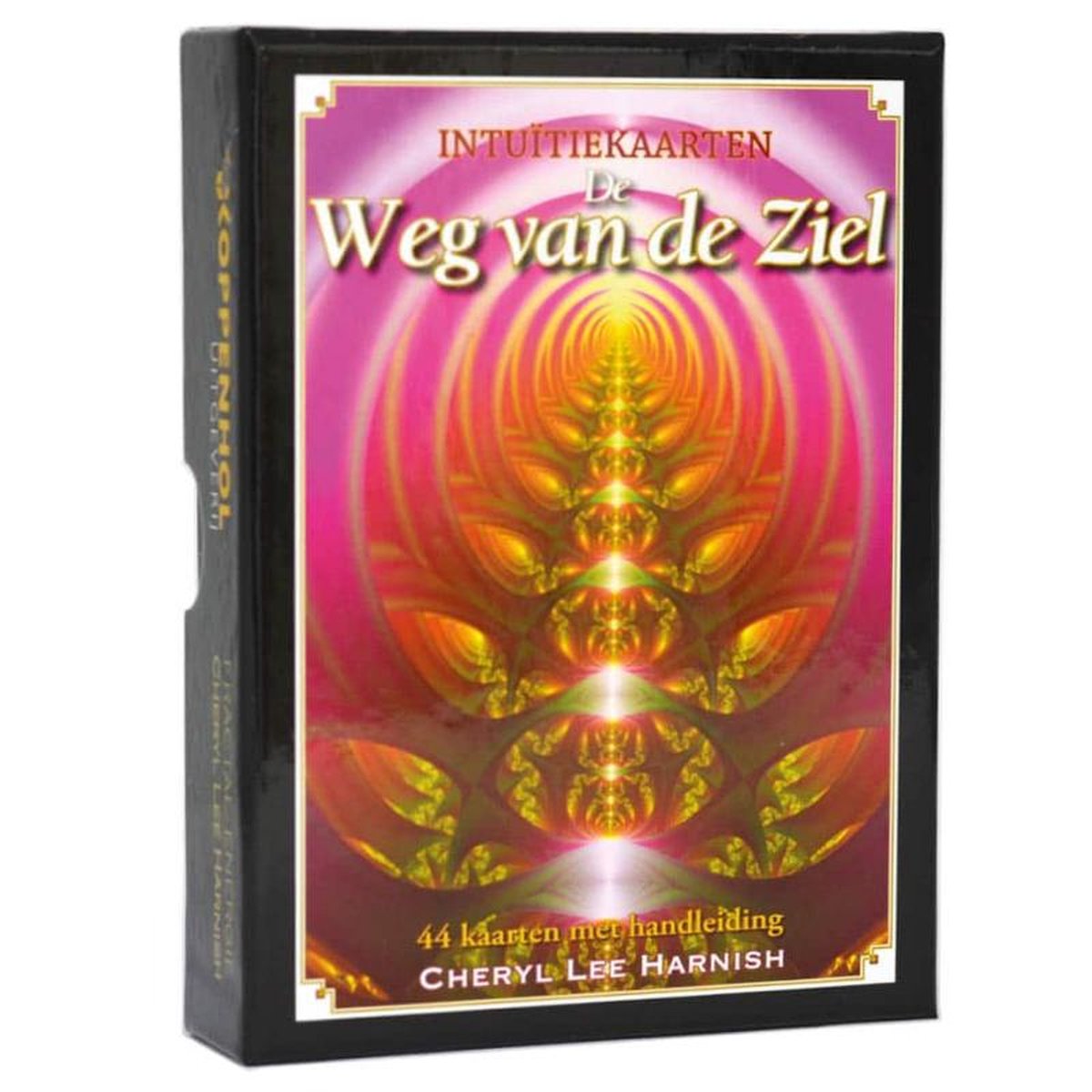 De Weg van de Ziel image 0