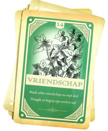 De kracht van magische spreuken image 3