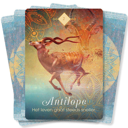 Boodschappen van de dieren