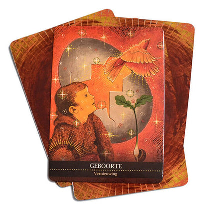 De helende kracht van het Sjamanisme