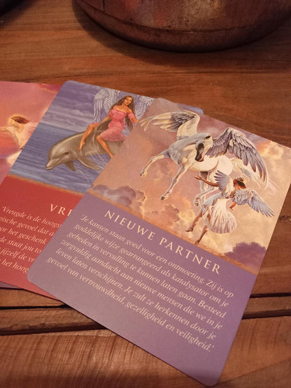 Doreen Virtue Dagelijkse leiding van je Engelen