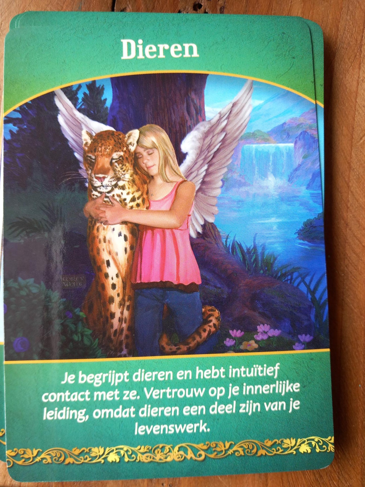 Doreen Virtue Levensdoel orakelkaarten