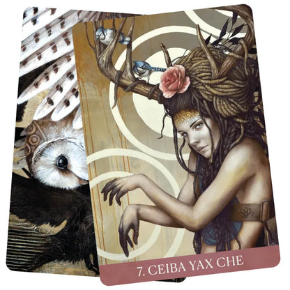 Medicine Heart oracle cards