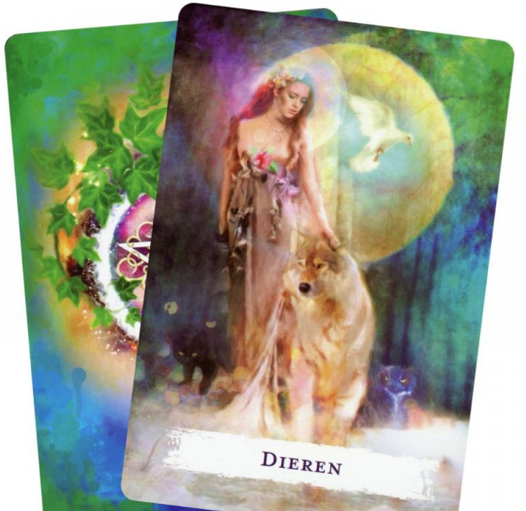 Wicca rituelen & bezweringen image 1